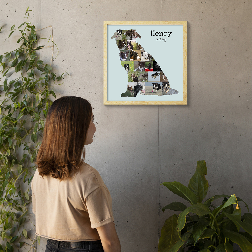 Collage photo personnalisé en forme de Border Collie assis, dans un cadre en bois clair sur un mur en béton