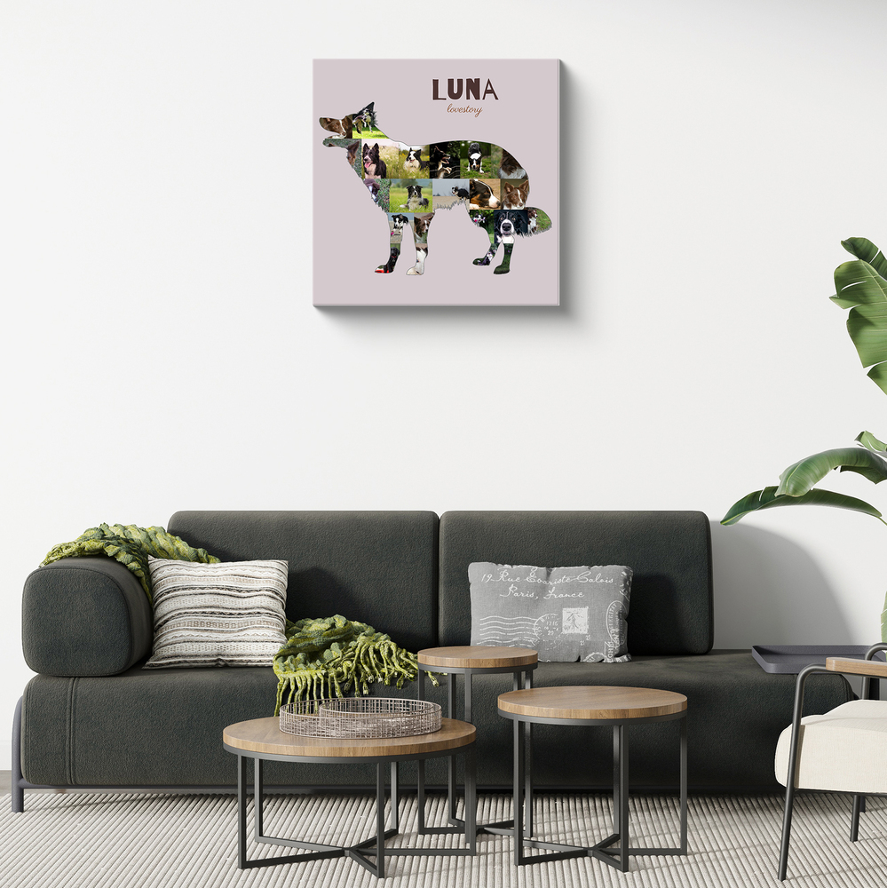 Collage photo sur toile en forme de Border Collie debout, avec prénom sur fond rose poudré au-dessus d’un canapé foncé