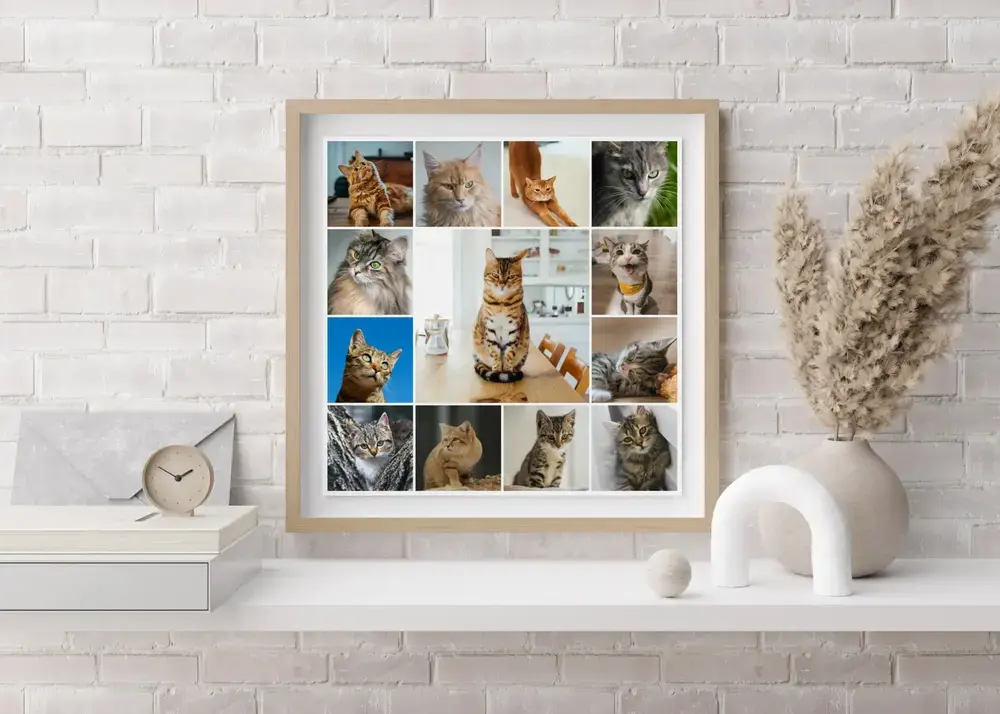 Pêle-mêle de photos de chats avec grand cliché central, cadre en bois clair sur une étagère devant un mur de briques