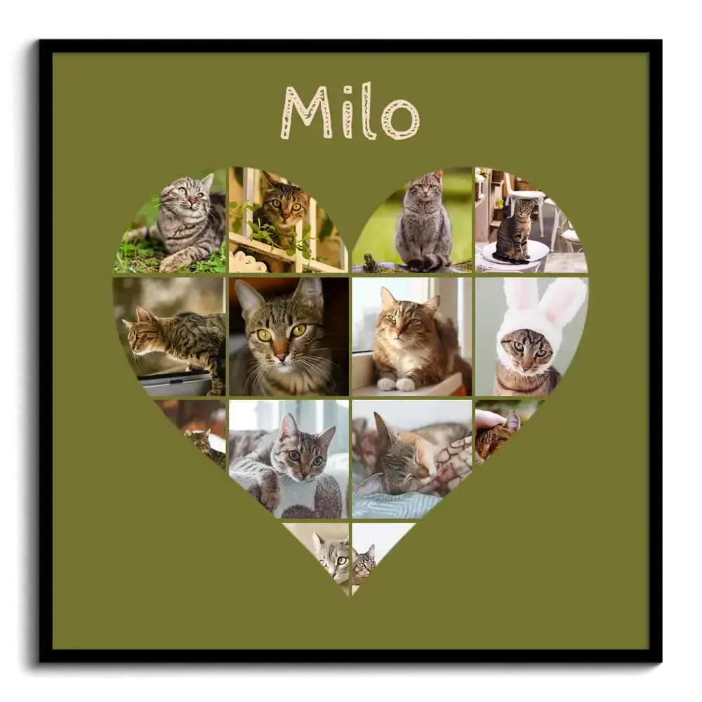 Collage de photos de chats en cœur sur fond vert olive, personnalisé avec un prénom et encadré en noir