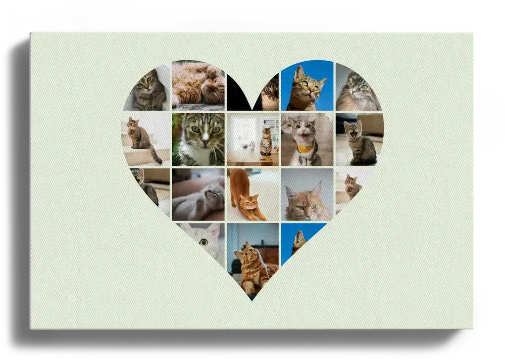 Toile horizontale avec photos de chats disposées en cœur sur fond vert pâle, pour les amoureux des chats