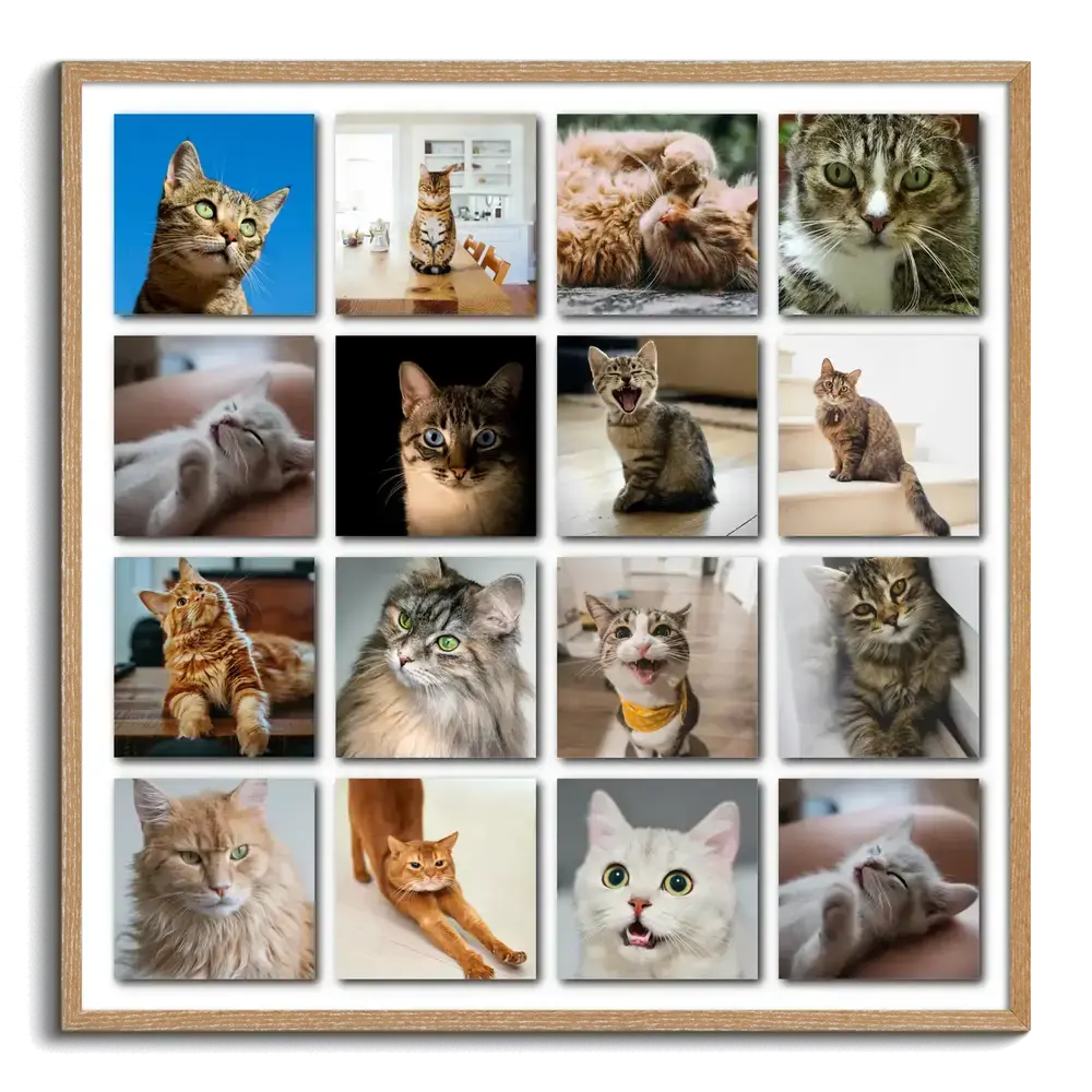 Pêle-mêle de 16 photos de chats avec effet d’ombre, encadré en bois naturel, cadeau pour amoureux des chats