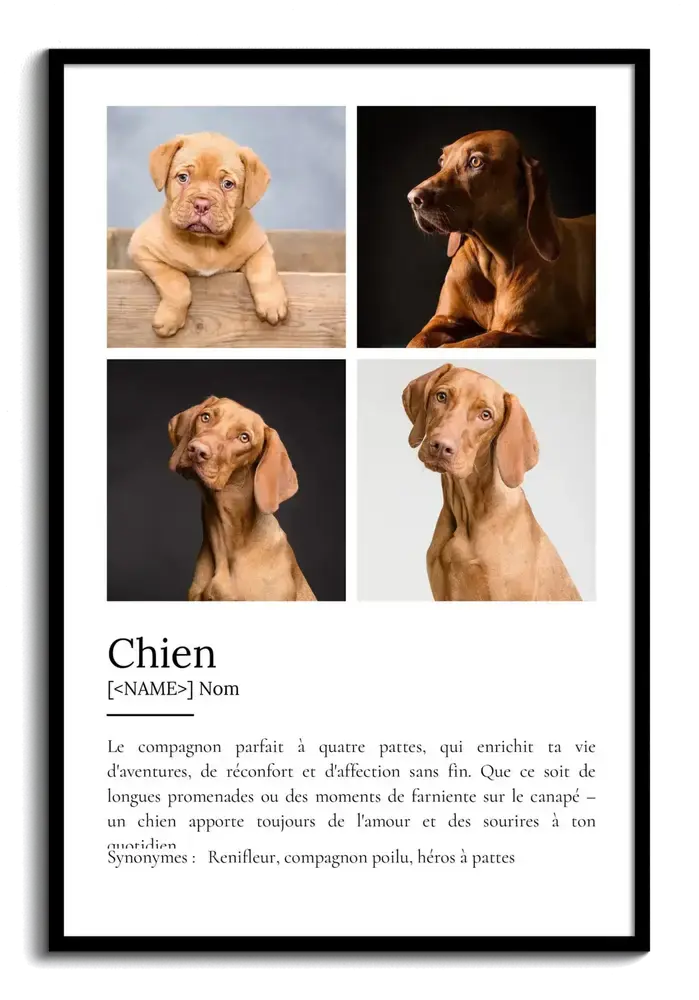 Affiche définition du chien avec quatre portraits canins en grille et cadre noir, cadeau pour passionné de chiens