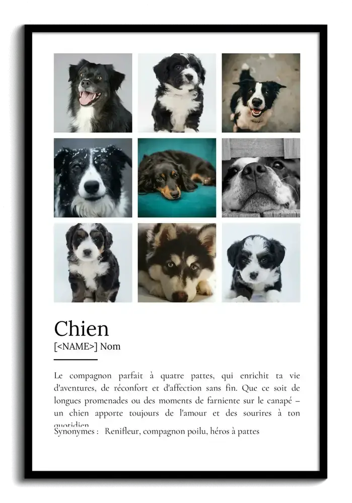 Affiche définition du chien avec neuf photos de chiens en mosaïque, dans un cadre noir sur fond blanc