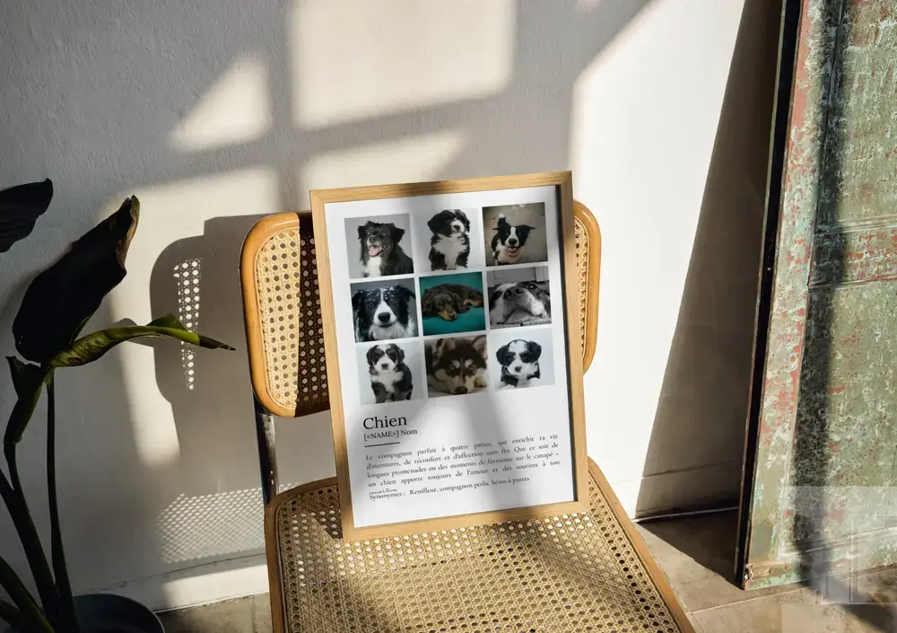 Affiche définition du chien avec neuf photos, encadrée en bois clair et posée sur une chaise cannée au soleil