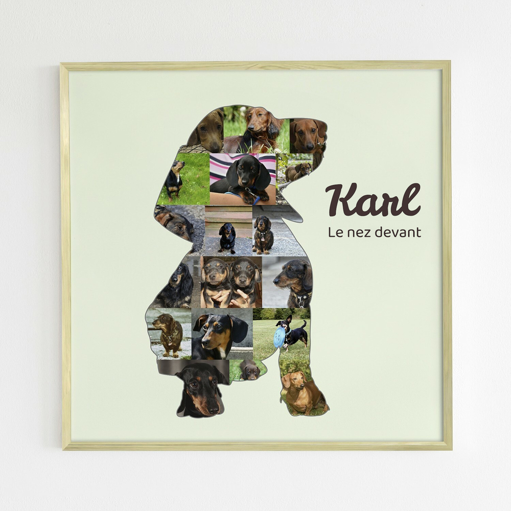 Gros plan sur un collage photo de teckel assis, avec nom et texte sur fond vert pâle dans un cadre en bois clair