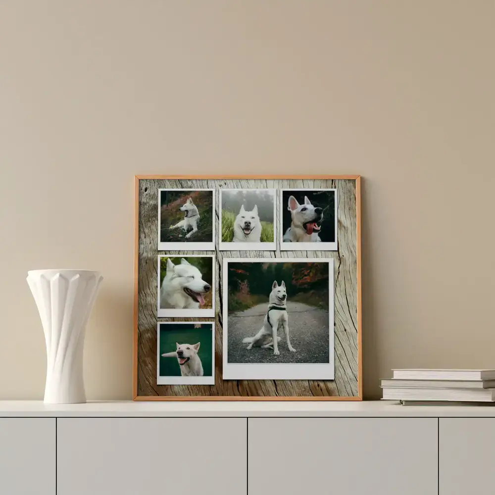 Collage de six photos de berger blanc façon Polaroid, encadré en bois sur un buffet blanc à côté d’un vase