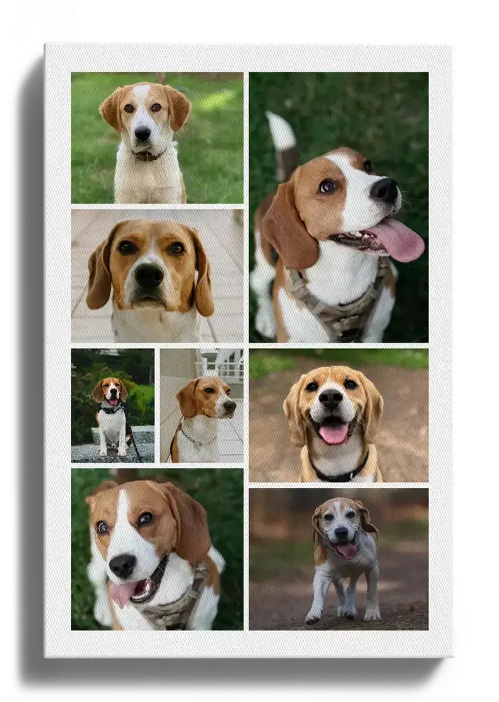 Collage photo de beagle sur toile verticale, en grille aux cases variées, cadeau pour les amoureux des chiens