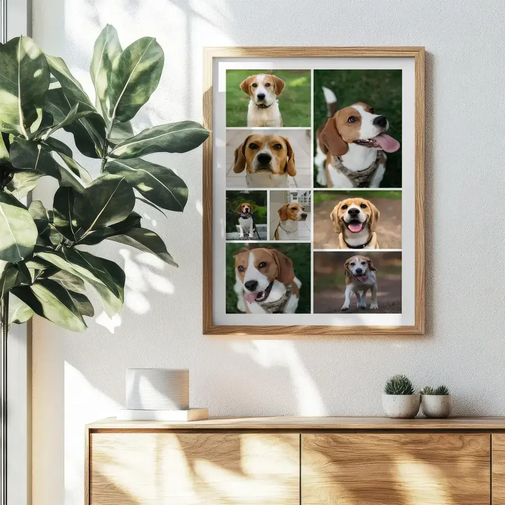 Collage photo de beagle en grille variée, encadré en bois au-dessus d’un buffet près d’une grande plante