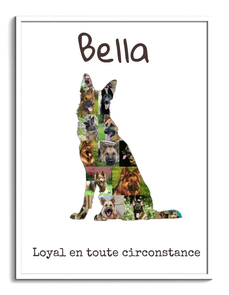 Collage photo en forme de berger allemand assis, avec nom et petit texte, dans un cadre blanc