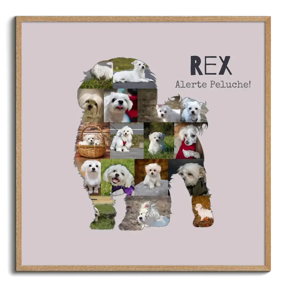 Collage photo bichon maltais en silhouette debout, avec prénom et texte sur fond rose poudré, encadré en bois naturel