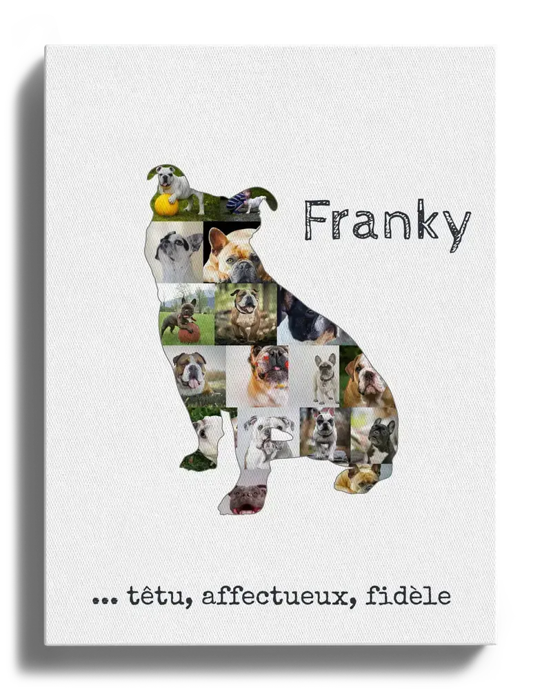 Collage photo sur toile en silhouette de Old English Bulldog assis, avec prénom et petit texte sur fond blanc