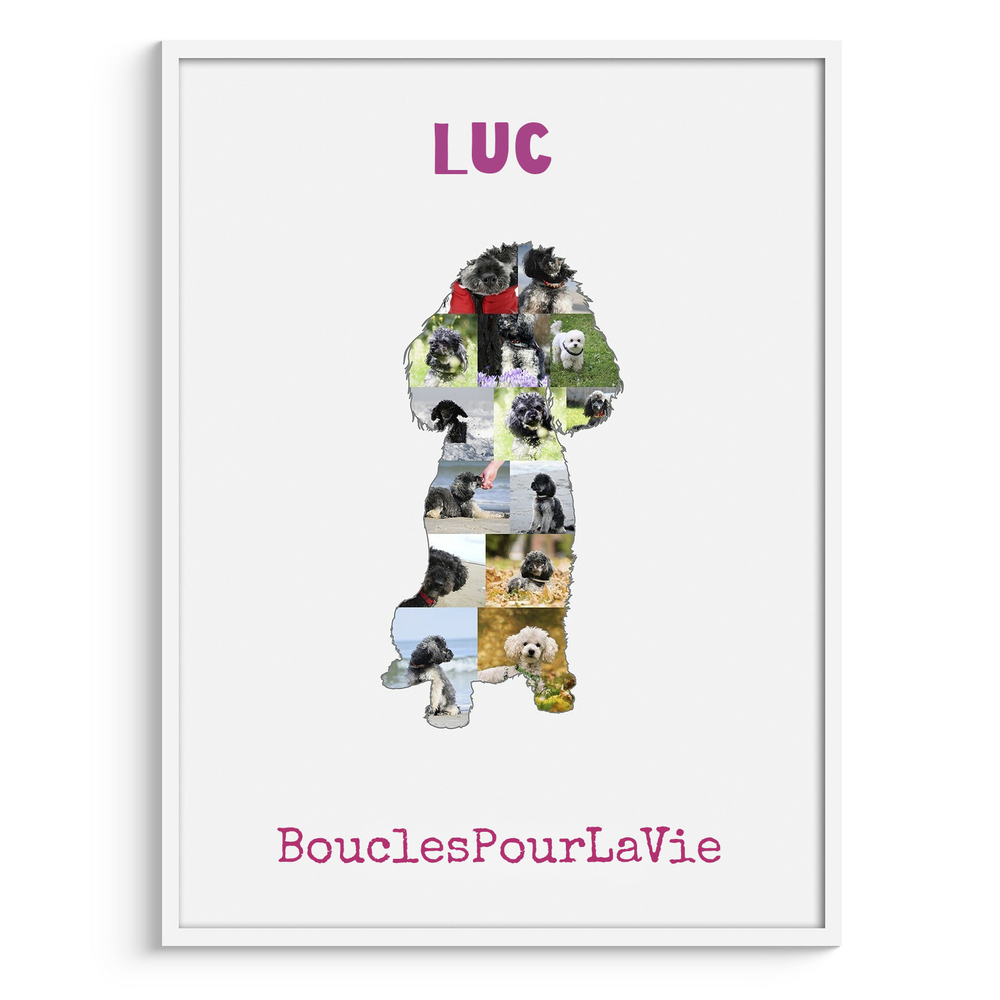 Collage photo en forme de caniche nain assis, avec nom et message roses dans un cadre blanc, cadeau pour un ami des chiens