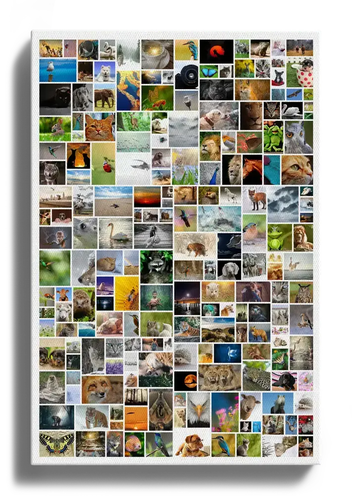 Pêle-mêle photo sur toile au format portrait, avec de nombreuses photos d’animaux et de nature