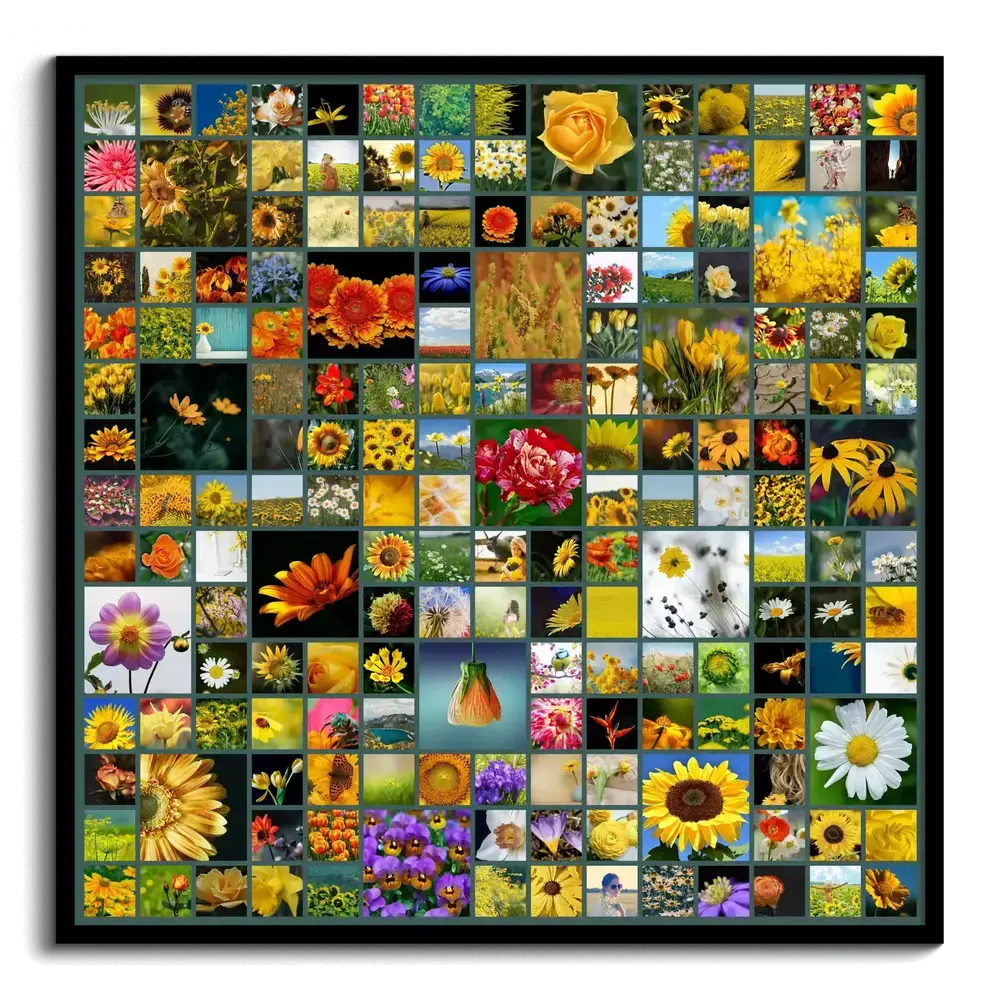 Pêle-mêle photo carré de nombreuses fleurs colorées, en cases de tailles variées, dans un cadre noir