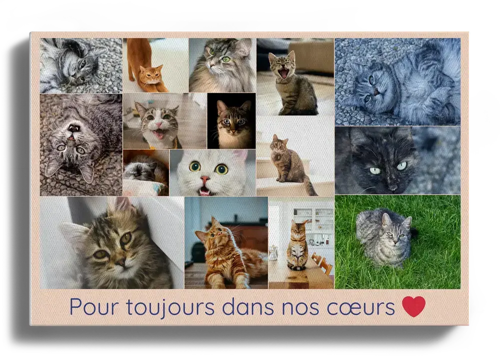 Pêle-mêle photo sur toile en mémoire d’un chat, au format paysage avec texte souvenir et cœur rouge