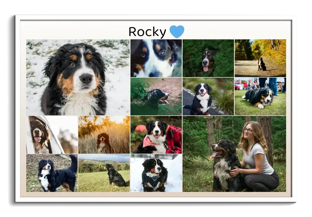Collage photo en souvenir d’un chien, photos en grille avec nom et cœur bleu dans un cadre blanc