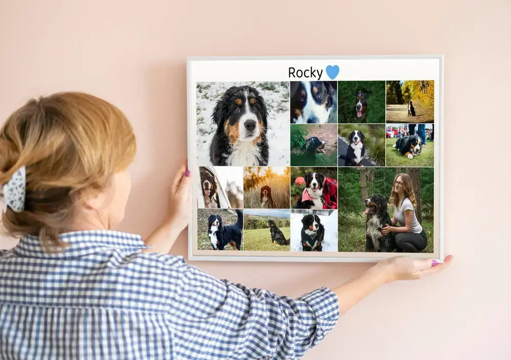 Collage souvenir d’un chien, photos en grille avec nom et cœur bleu, dans un cadre blanc contre un mur rose