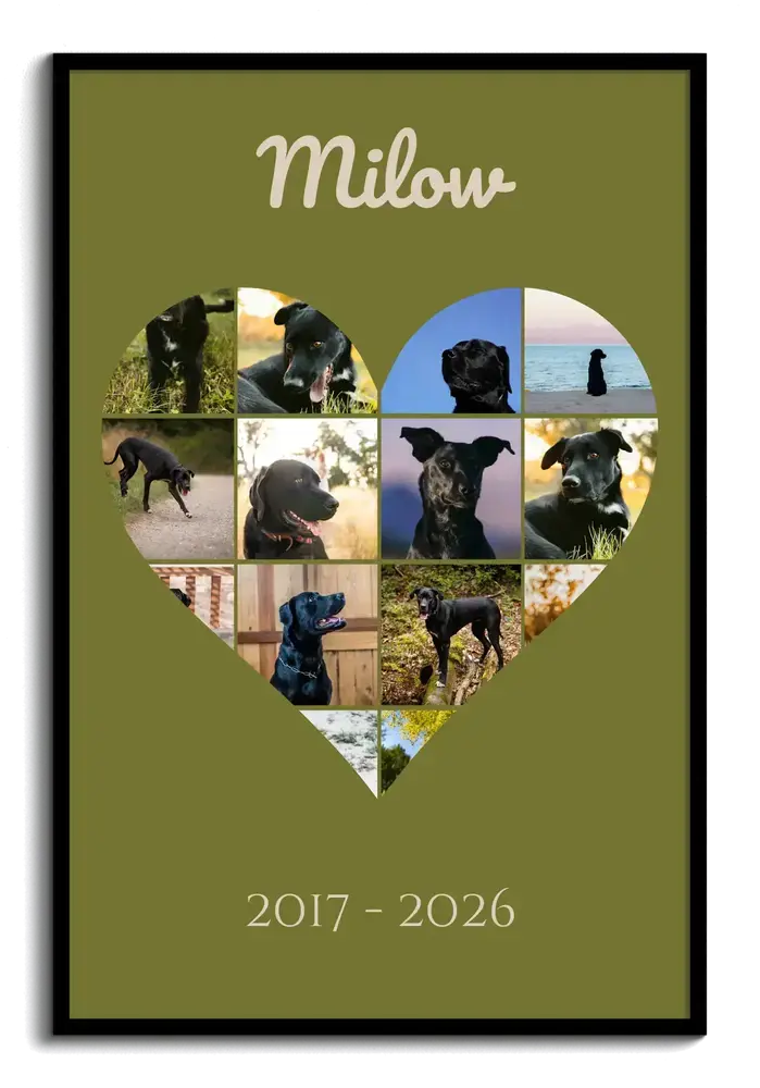 Collage photo en hommage à un chien, en cœur sur fond vert olive, avec nom et dates de vie dans un cadre noir