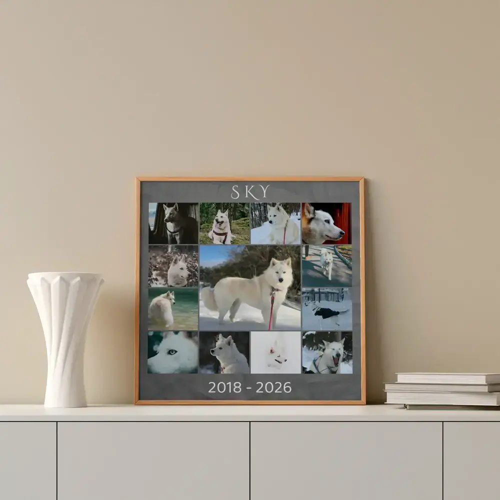 Pêle-mêle photo en souvenir d’un chien, avec nom et dates de vie, encadré en bois sur un buffet près d’un vase