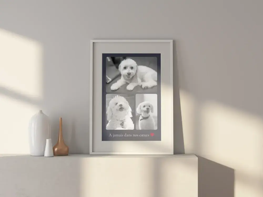 Collage souvenir d’un chien, trois photos en noir et blanc et cœur rouge, encadré sur un buffet