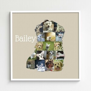 Collage Silhouette Havaneser Photo Personnalisable Chien