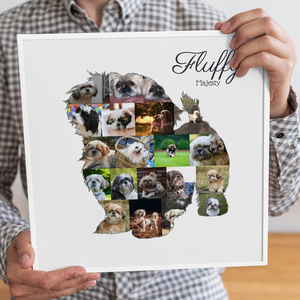 Collage Shih Tzu Personnalisée - Créez votre Souvenir Canin Unique