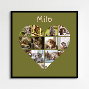 Collage cœur chat avec photos – personnalisez avec nom ou texte