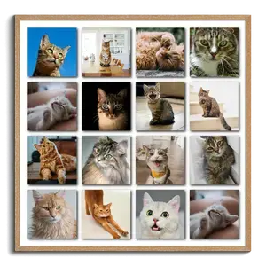 Collage photo Polaroid de votre chat - créez et personnalisez avec nom et texte Collage photo Polaroid de votre chat - créez et personnalisez avec nom et texte