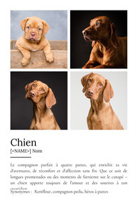 Poster Définition Personnalisé Chien - Créez votre propre hommage canin