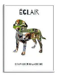 Collage photo Beagle personnalisée - Créez un souvenir unique
