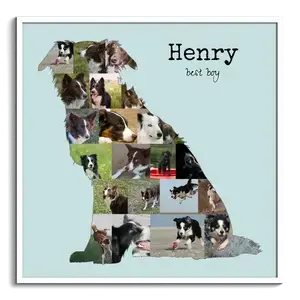 Collage Photo Border Collie - Créez un Souvenir Canin Unique