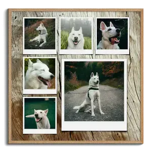 Créez un collage photo chien personnalisé avec style Polaroid ou grille