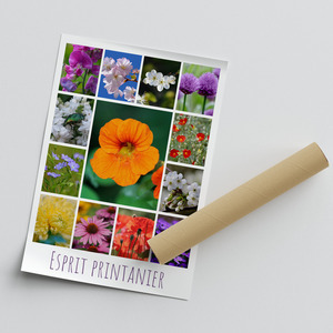 Créez votre collage photo fleurs de printemps – tirage premium