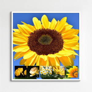 Créez votre collage photo fleurs de printemps – tirage premium