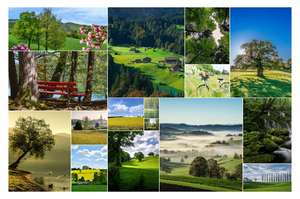 Créez et imprimez un collage photo de paysages: forêts, routes d’automne, pics enneigés