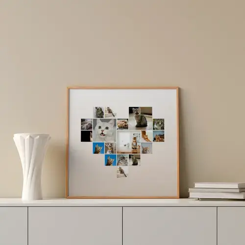 Photos de chat en cœur avec texte personnalisé