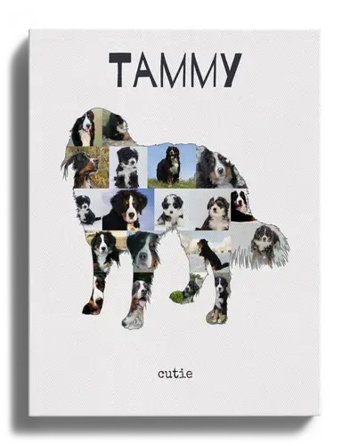 Collage Photo Chiens – Créez un Souvenir Personnalisé pour votre Berner Sennenhund