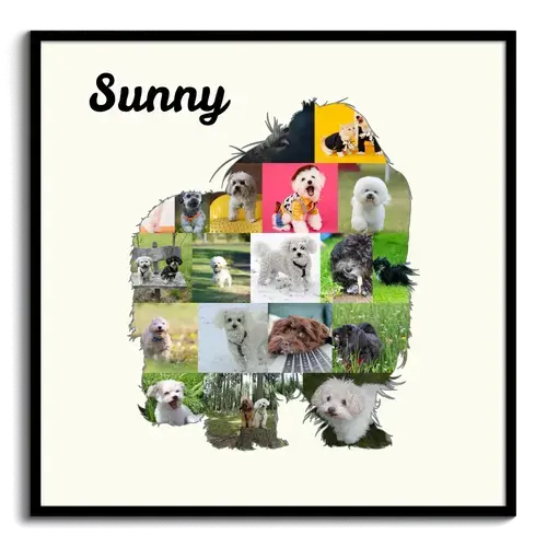 Collage photo personnalisée Bolonka Zwetna pour amoureux des chiens