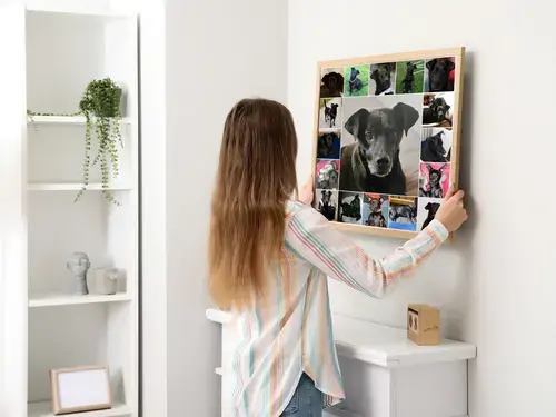 Collage photo chien avec image centrale