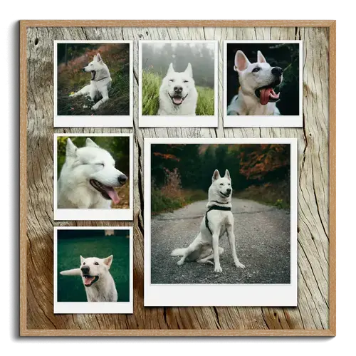 Collage photo de chien personnalisable