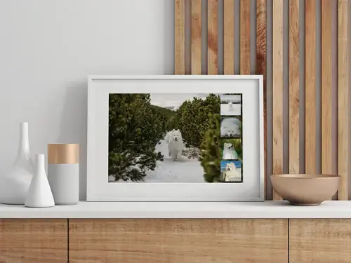 Collage photo de chien personnalisable