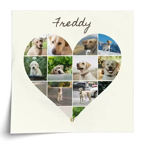Collage photo chien personnalisable