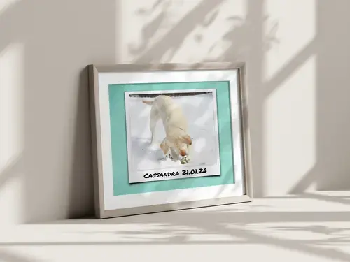 Collage photo chien personnalisable