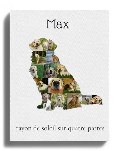 Collage Personnalisée Golden Retriever : Créez un Souvenir Inoubliable en Photos