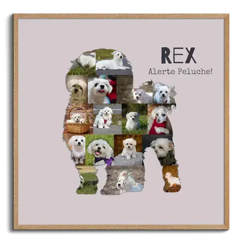Collage photo Maltais personnalisée pour amoureux des chiens