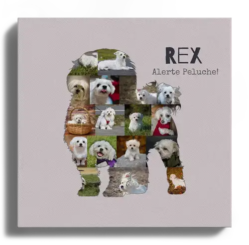 Collage photo Maltais personnalisée pour amoureux des chiens