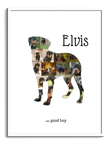 Collage Photo Silhouette Rottweiler - Créez un Souvenir de Votre Chien