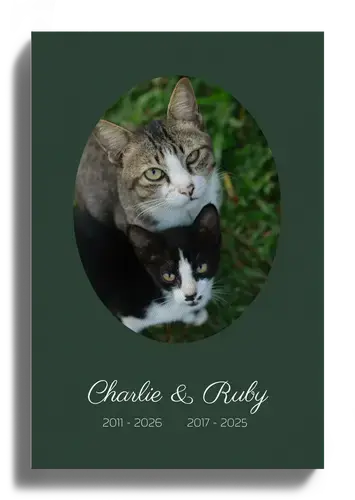 Collage souvenir chat – photo unique, nom & dates