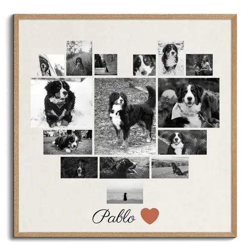 Collage 1 photo hommage pour chien, cadre ovale